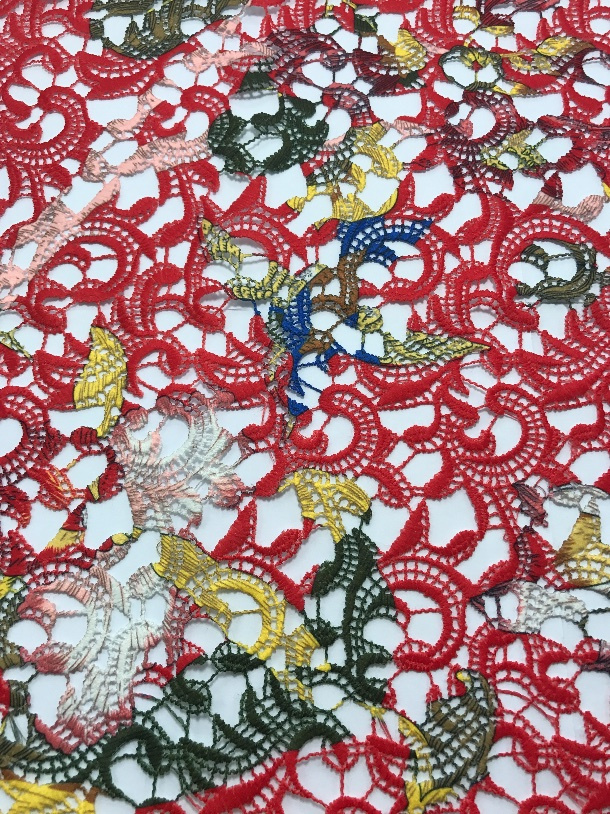 Lace with Different Color Design