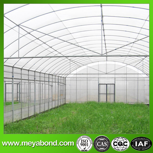 50 Mesh Insect Nets with 4m Width or More Width for Greenhouse