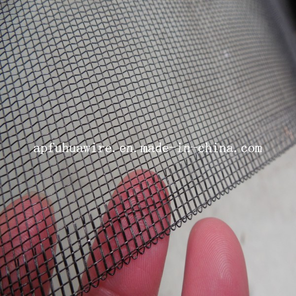 Ss Finished for India 14X14 Fly Net Aluminum Wire Mesh
