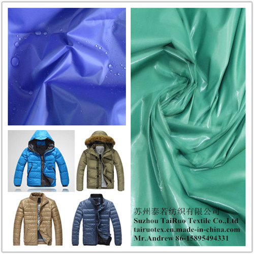 Nylon Taffeta Fabric with Waterproof and Coated for Garment Fabric