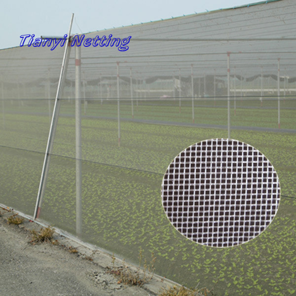 Agriculture Anti Insect Net