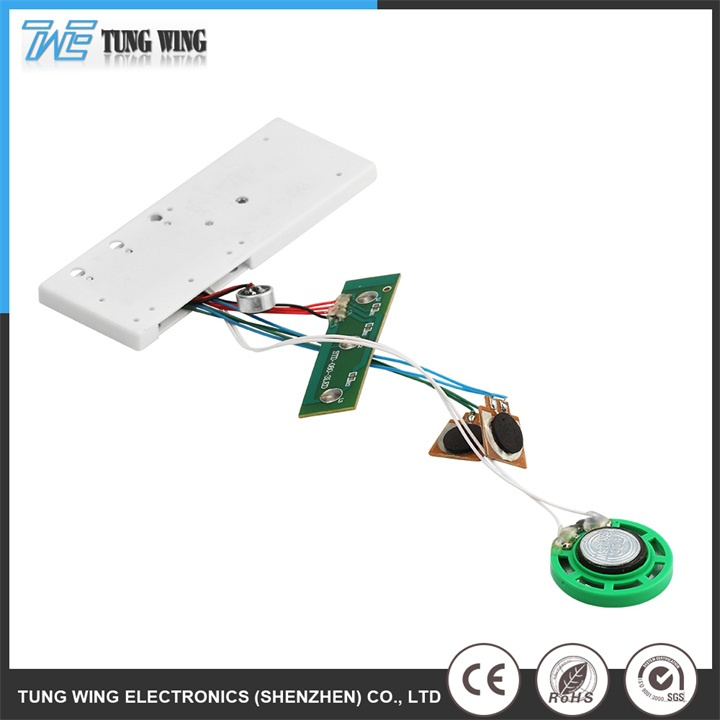 Educational Toy Digital Electronics Book Sound Chip