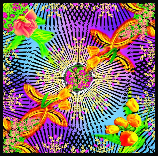 Beautiful Digital Printed Silk Scarf (F13-0063)