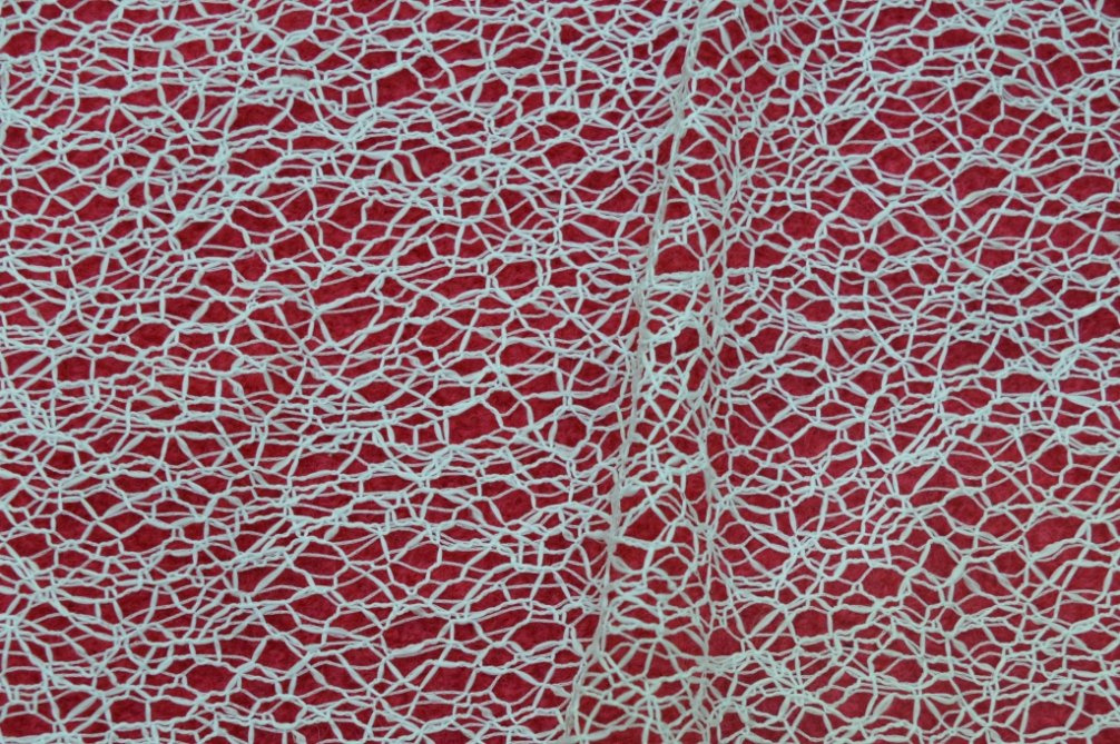 Floral Pattern Lace Fabric, Delicate and Elegant From China Ls10003