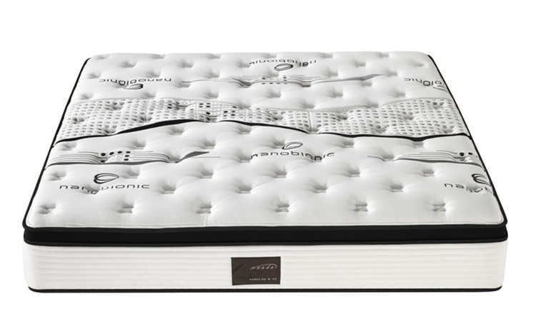 Plush Factory memory Foam Mattress