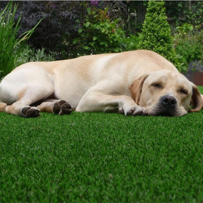 55mm Height 18900 Density Leou10 Landscaping Artificial Grass Carpet Rug for Decoration
