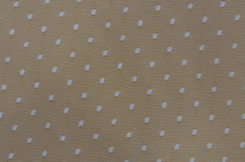 Wave Pattern Lace Fabric Fashion and Delicate Swiss Ls10021