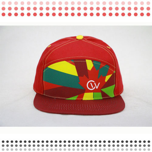 Printing 5 Panel Snapback Cap 5 Panel Hats