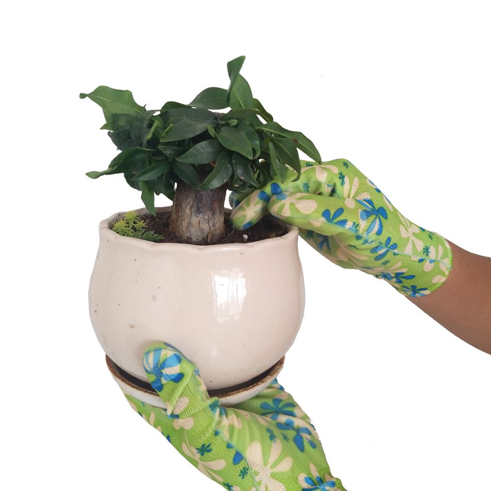 13 G Knitted Polyester Gloves of Garden Gloves Coated Transparent Nitrile on Palm