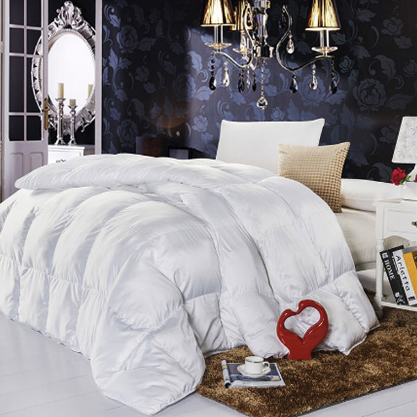 Wholesale Chinese Custom Thick Down Quilt Duvet (DPFB8052)