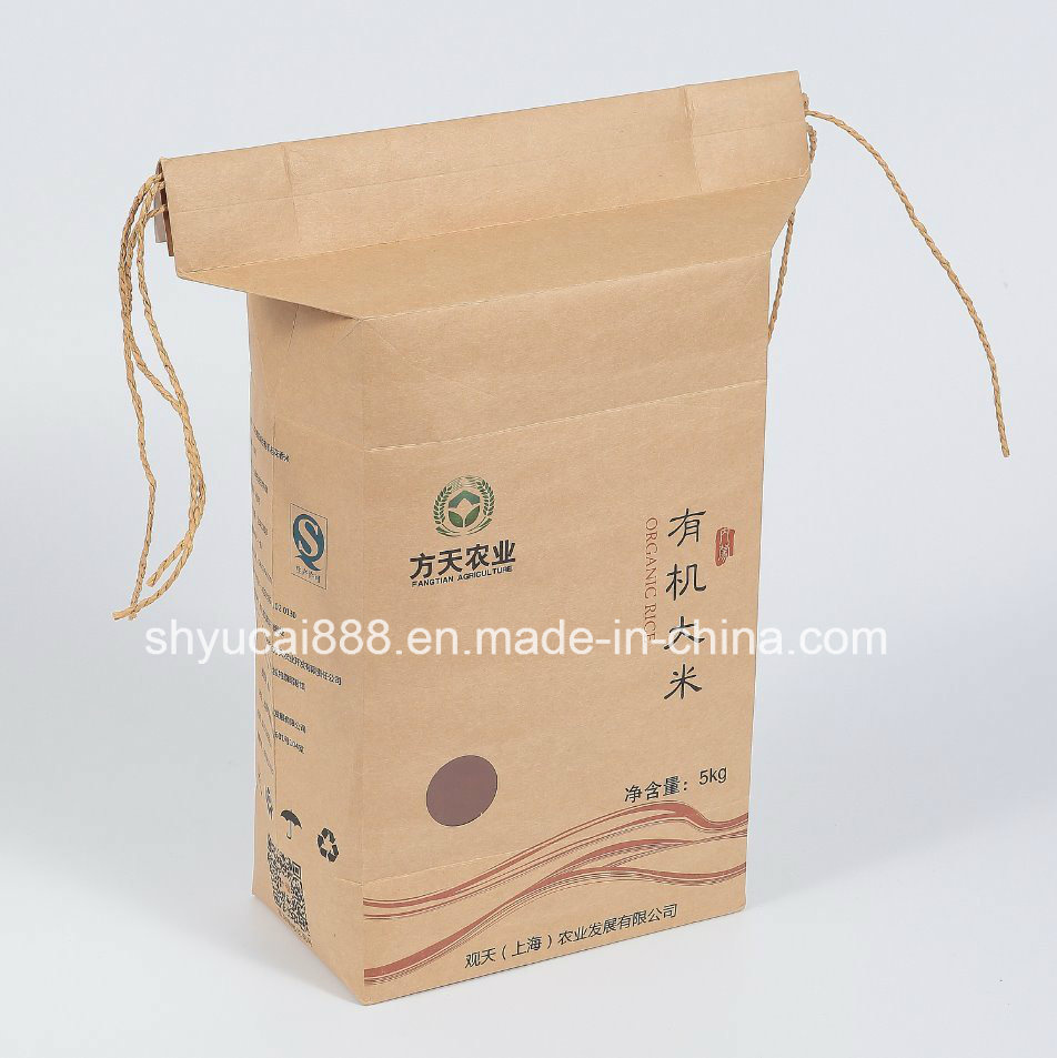 2017 New Style Kraft Paper Packaging Bag 10