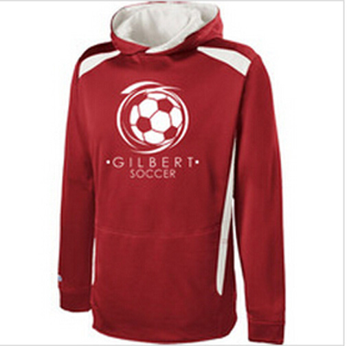 Custom Cotton/Polyester Printed Hoodies Sweatshirt of Fleece Terry (F069)