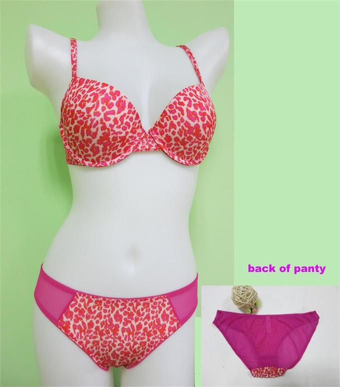 Leopard Print Push up Underwear Bra Set (EPB125)