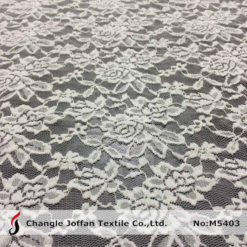Raschel Allover Elastic Lace Fabric (M5403)