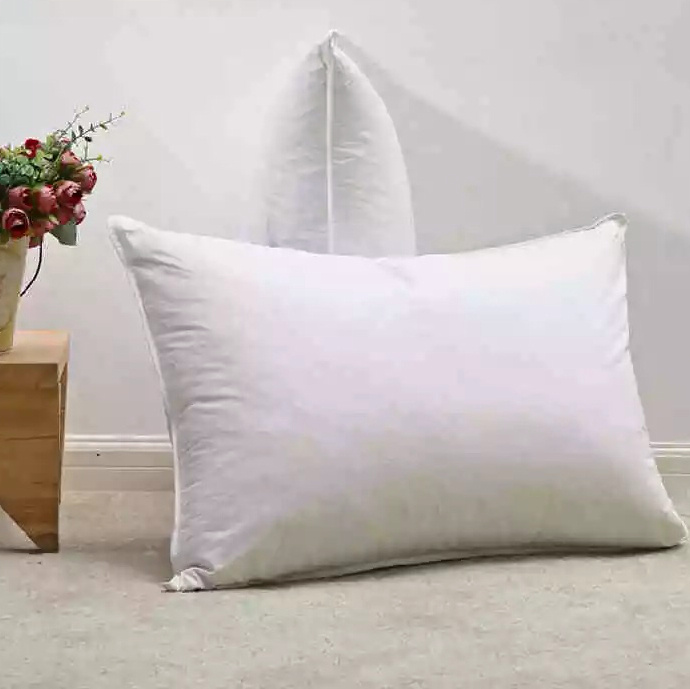 Jw Hotel Goose Down and Feather Pillow