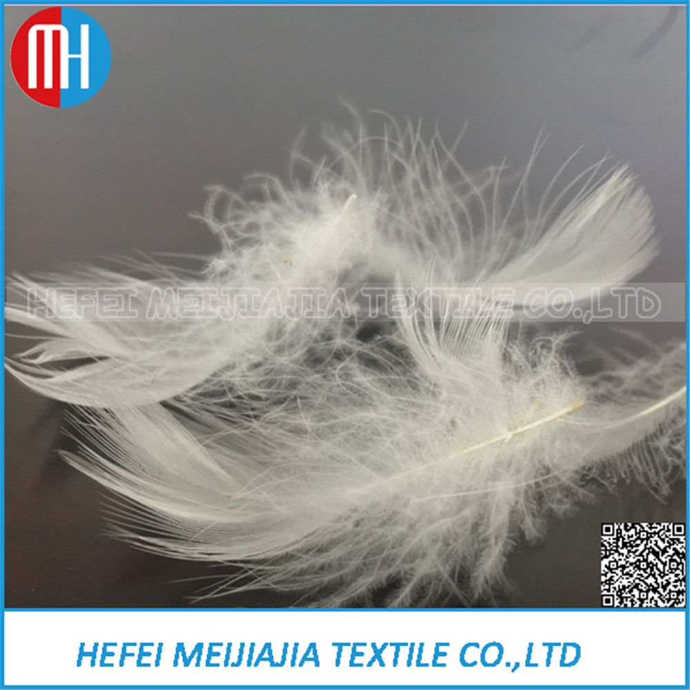 High Quality Goose or Duck Feather for Sail