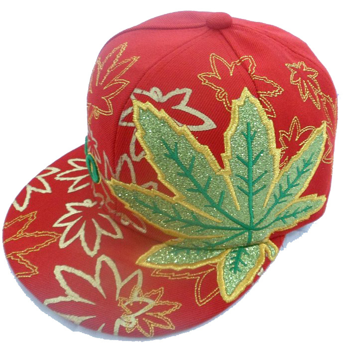 Snapback Baseball Cap with Custom Logo 0001