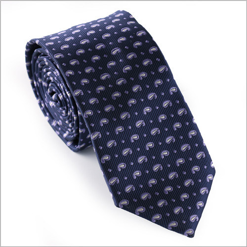 New Design Fashionable Polyester Woven Tie (50618-5)