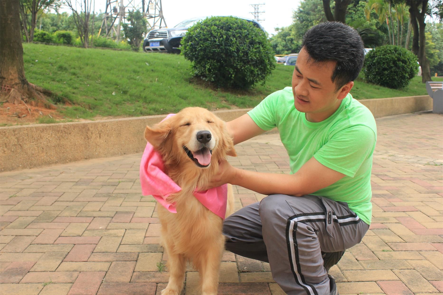 Quick Dry Super Absorbent Pet Towel