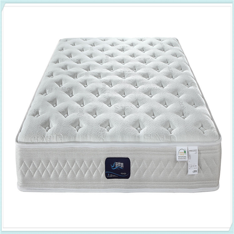 Best Rest Compress Roll up Visco Memory Foam Mattress