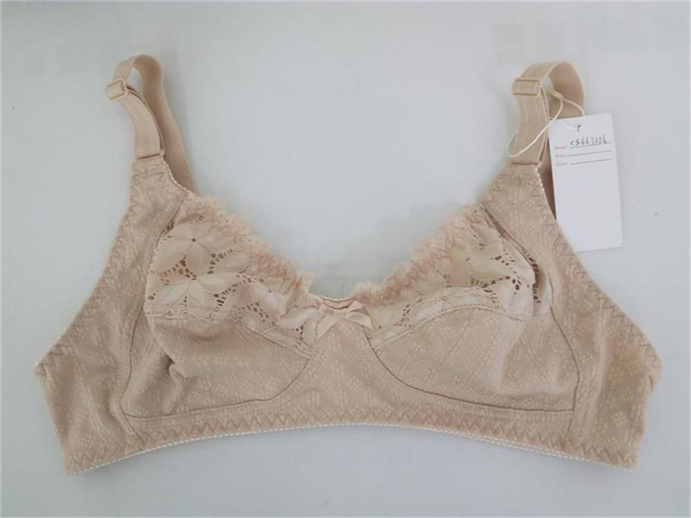 Hot Sales Russsian Style E, F, G Transparent Bra (CS663226)