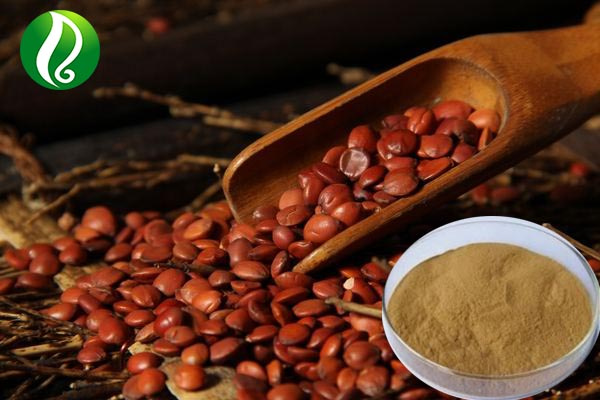 Best Quality Jujube Spine Date Seed Extract Chinese Date Powder Extract Jujube Extract