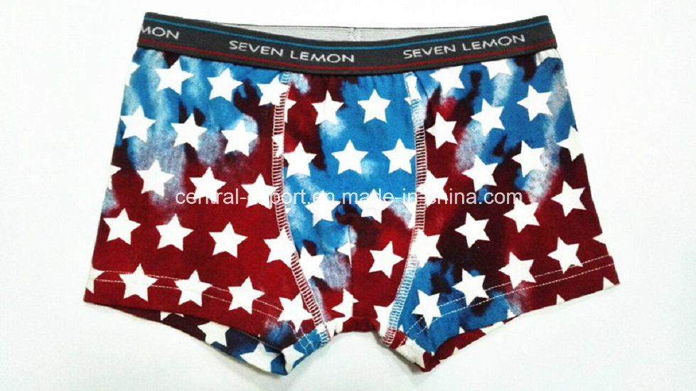 New Print Design Children Underwear Boy Boexr Short Boy Brief with Eco Permit