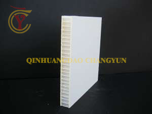 XPS PU Foam Refrigerated Truck Insulated GRP FRP Fiberglass Panel