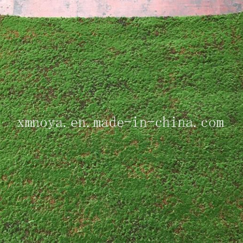 Eco-Friendly Artificial Fake Green Sheet / Carpet Moss for Wall Decoration