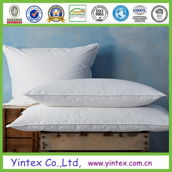 Popular Design No Smell Duck Down Pillow (AD-22)