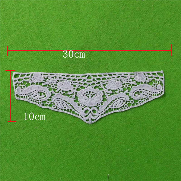 Embroidery Lace Collar with Lace (cn113)