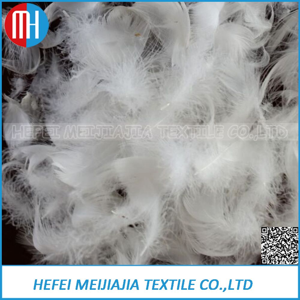 High Quality Duck or Goose Down Feather Price