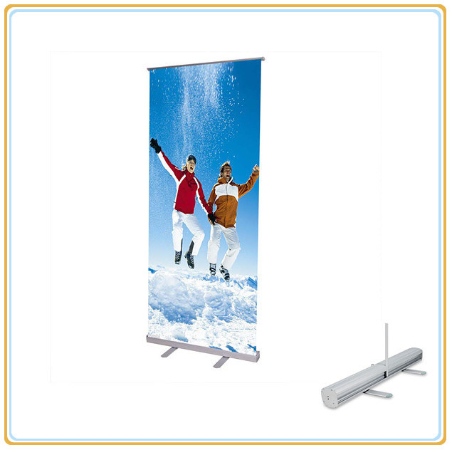 Ski Resort Poster Display with Cheap Price