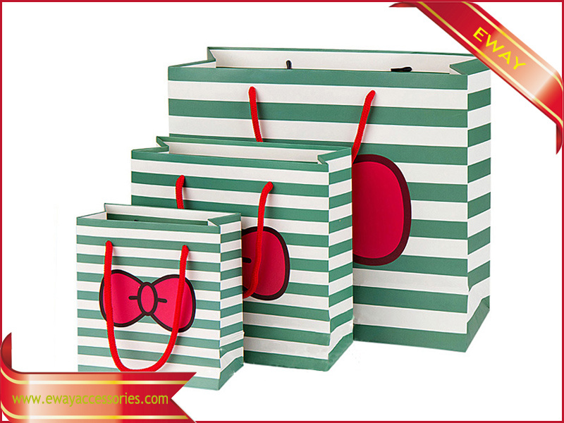 Custom Printed Paper Gift Bag Garment Shopping Bag
