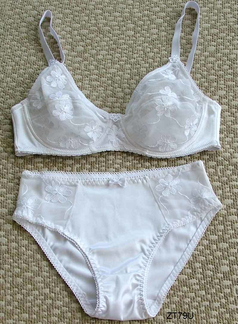 Underwear Bra Set (ZT79U)