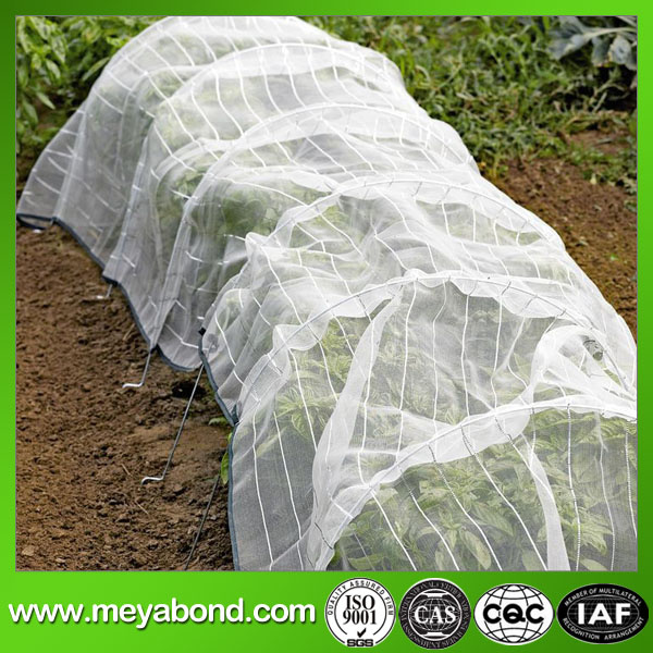 Insect Net (anti insect net) 50X50 Mesh Anti Insect Net