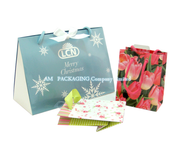 High Quality Printing Custom Paper Gift Bag