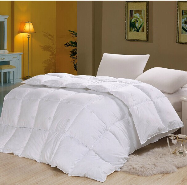 Cheap Wholsale Soft Like Egyptian Cotton Microfiber Comforter Inner