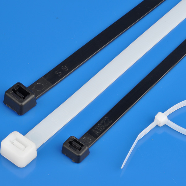 2.5*100 Cable Tie, Self-Locking in China