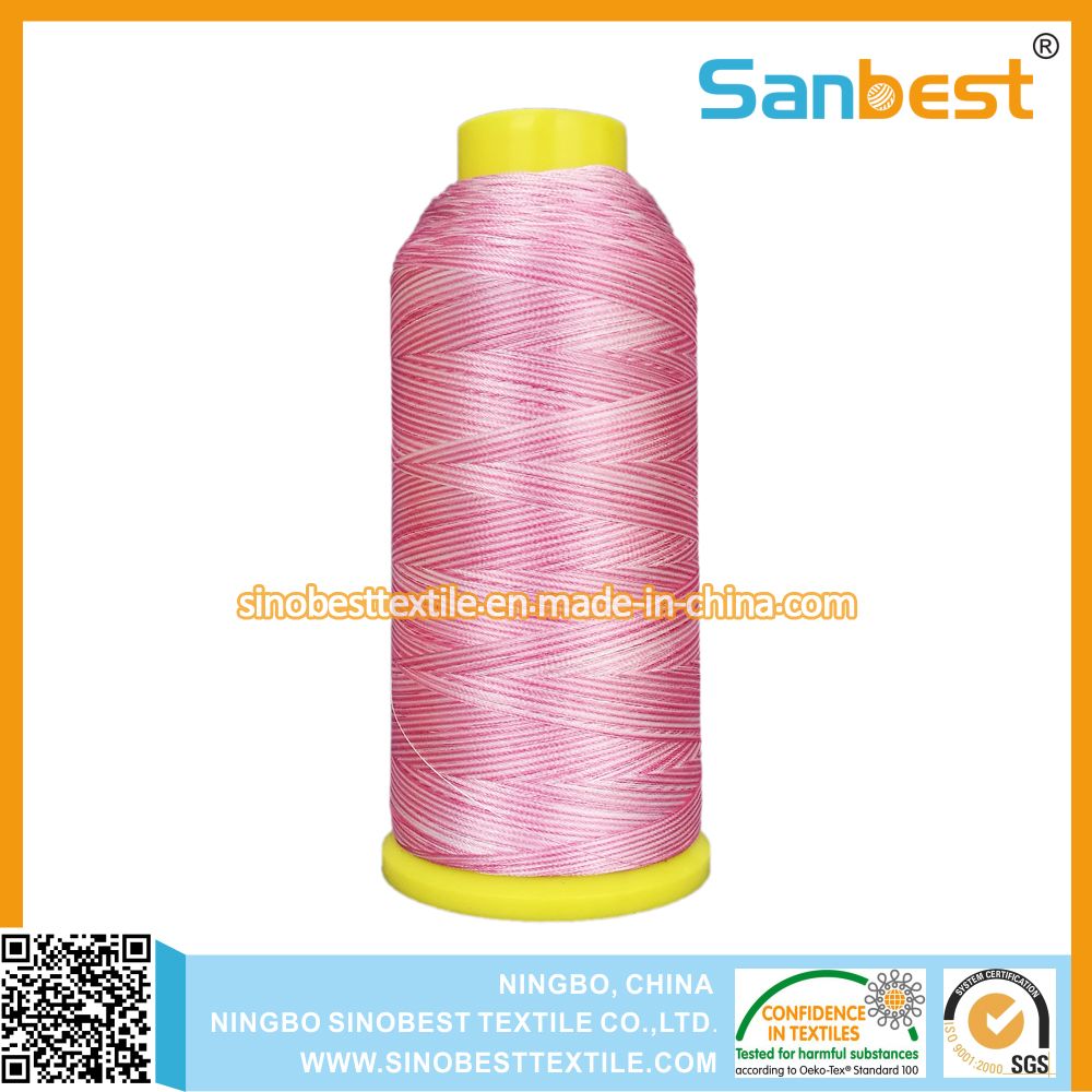 Colorful Polyester Embroidery Thread with Lubrication