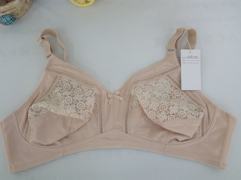 Factory Price High Quality embroidered Padded Big Size Bra