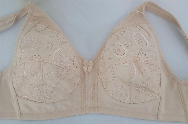 2016 New Design Plus Size Bra (CS915)