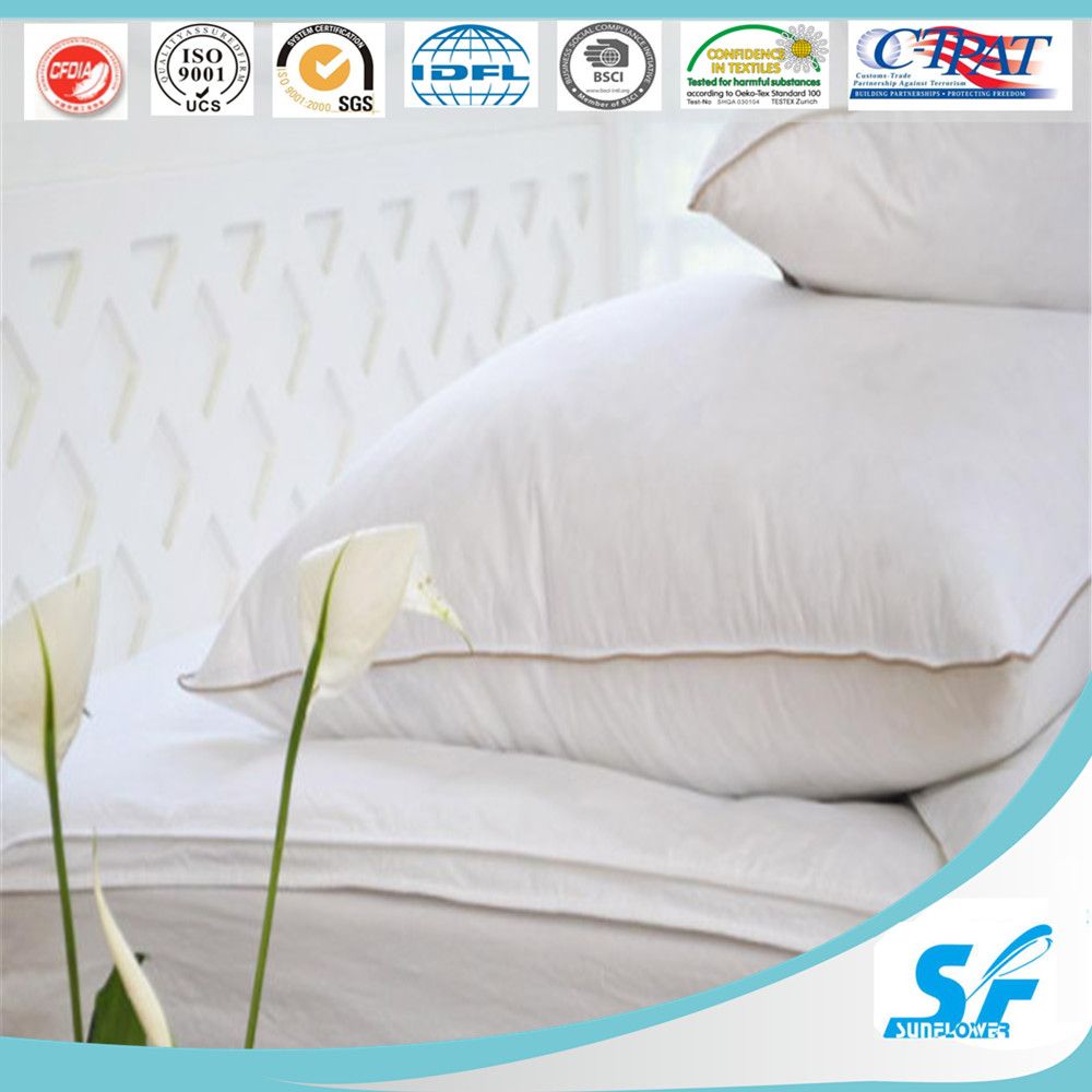 Plain Pillow Shell in Low Price (SFM-15-187)
