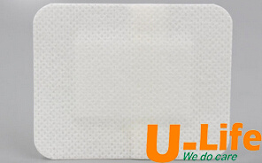 Nonwoven Wound Dressing