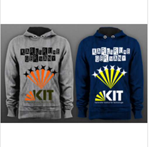 Custom Nice Cotton Printed Hoodies Sweatshirt of Fleece Terry (F081)