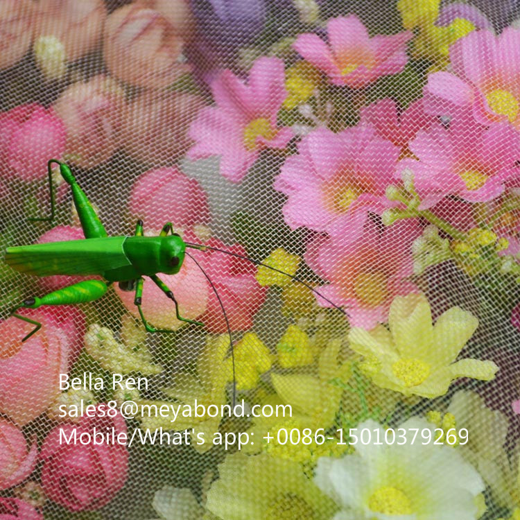 Orchard Anti-Insect Net (45X40, 6X8, etc)