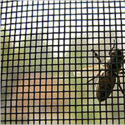 Whosale Stainless Steel Window Screen Price/Fiberglass Window Screen/Privacy Window Screen