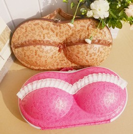 EVA New Bra Storage Bag (YSBB05-015)