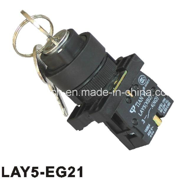 2 Position Key Siwtches Button