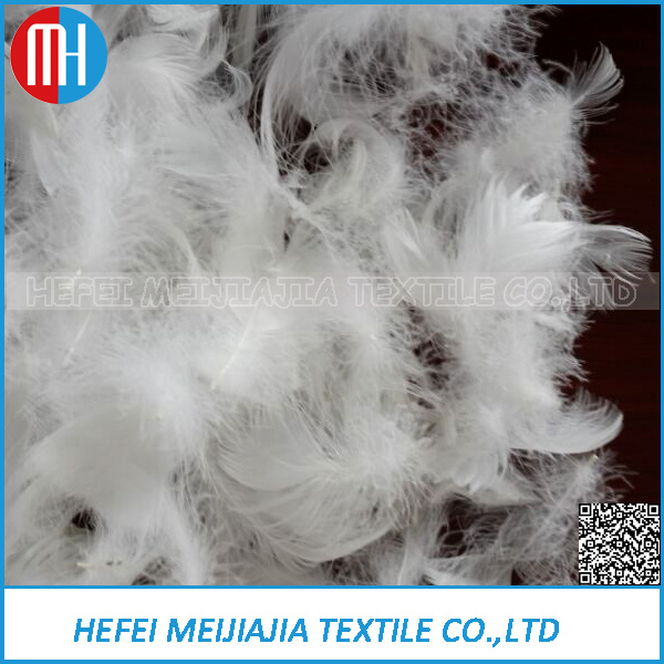 Bulk White Duck or Goose Feathers